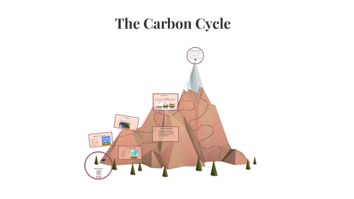 The Carbon Cycle by hurab rizwan on Prezi