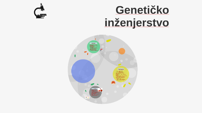 Geneticko Inzenjerstvo By Milena Korenika