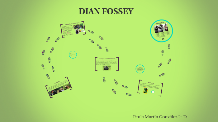 Dian Fossey By Paula Martín González