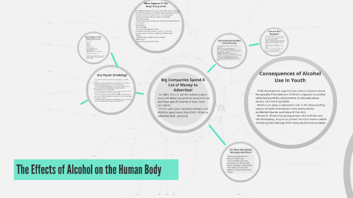 The Effects of Alcohol on the Human Body by M S on Prezi