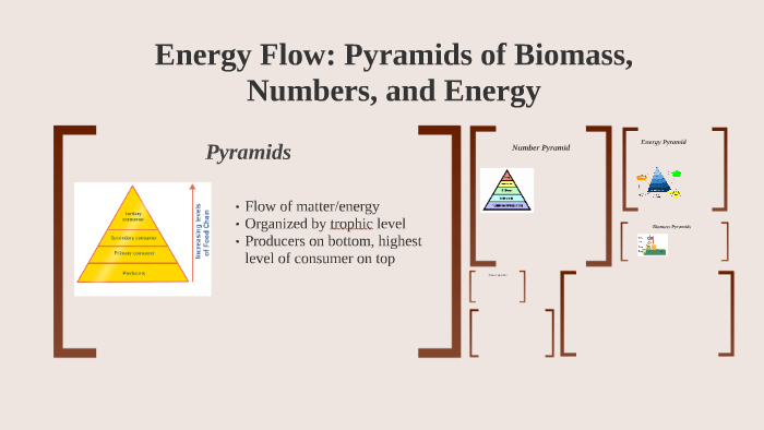 Energy Flow: Pyramids of Biomass, Numbers, and Energy by Autumn Savoye ...