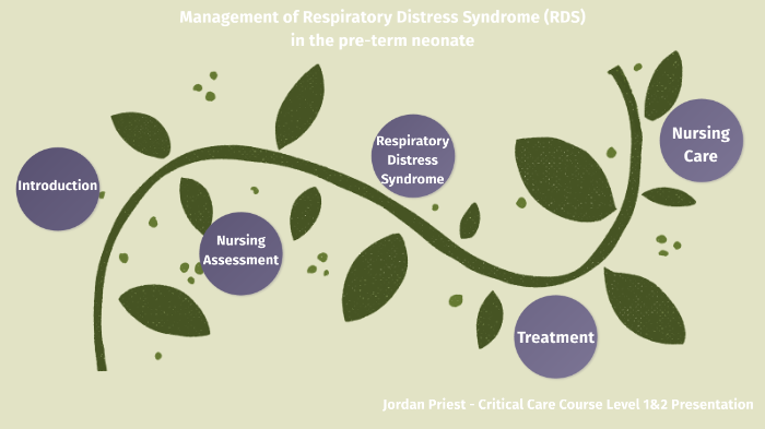 Management of Respiratory Distress Syndrome in the pre-term neonate by ...