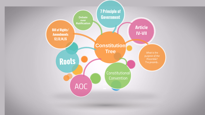 Constitution Tree Image Chart.pdf Constitution Tree by Evan Ngo on Prezi
