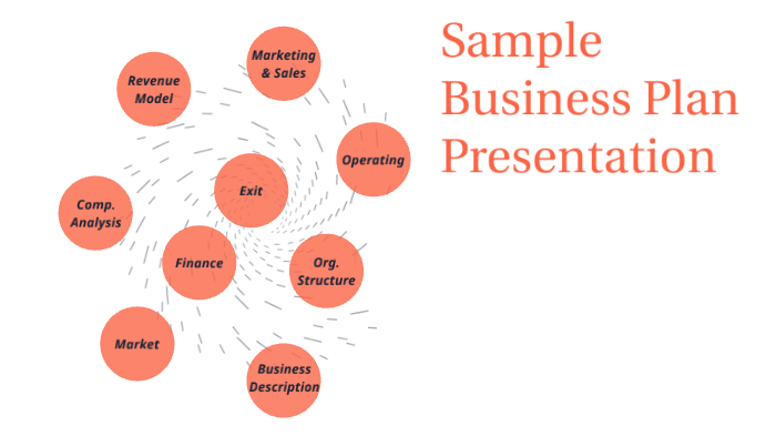 Business Plan Presentation by Cian Robinson on Prezi