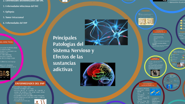 Principales Patologias del Sistema Nervioso y Efectos de las by Nayra ...