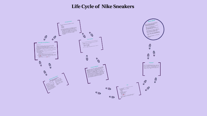 life-cycle-of-crystallized-nike-sneakers-by-izzy-seaman