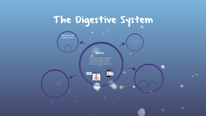 The Digestive System by Huda Faisal on Prezi