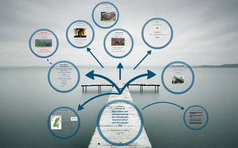 Chesapeake Bay Watershed Presentation By Christian Wahlberg On Prezi   K7waxq2paswif7swnh6lg5c3wt6jc3sachvcdoaizecfr3dnitcq 3 0 