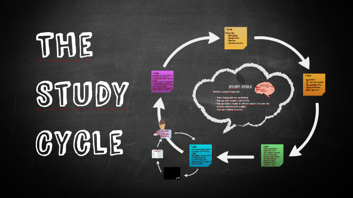 the-study-cycle-by-jarrett-doyle