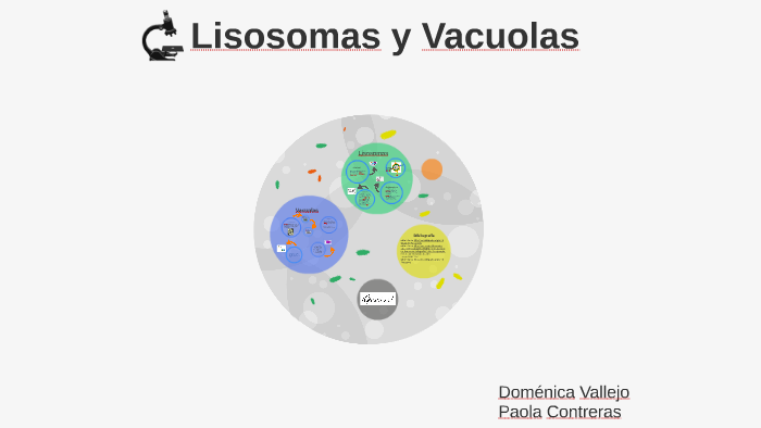 Que Tienen En Comun Las Vacuolas Y Lisosomas