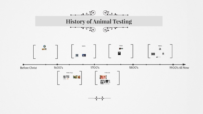 history of animal testing research paper