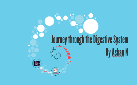 The Digestive System by ashan don on Prezi