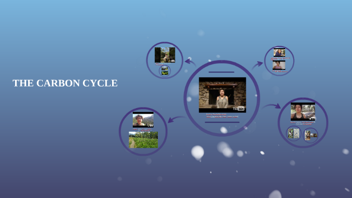 THE CARBON CYCLE by wendy smith on Prezi