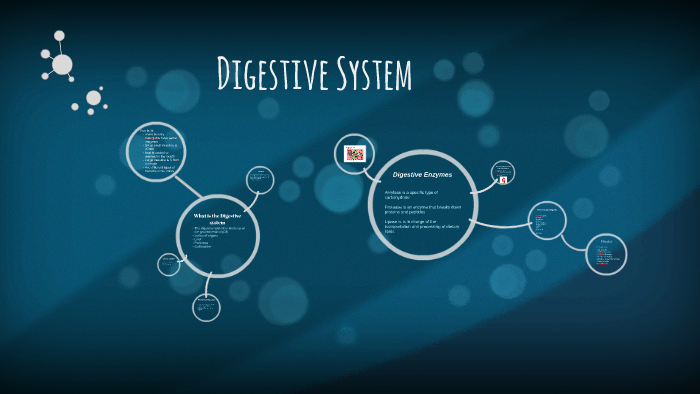 Digestive System by Diana Simental