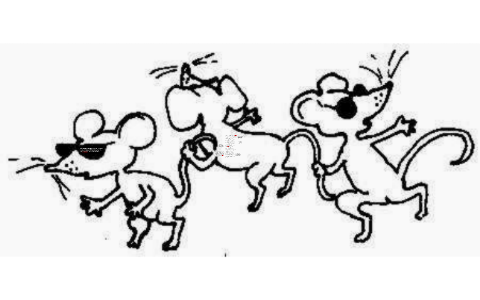 Three mice. Крысы танцуют вальс. 4 Танцующие крысы. Крысы танцуют хоровод. Две крысы танцуют вальс.