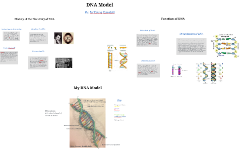 DNA Model by McKenna Kowalski on Prezi