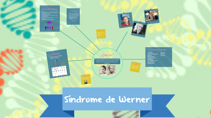 Síndrome de Werner by Yvannia Farías on Prezi