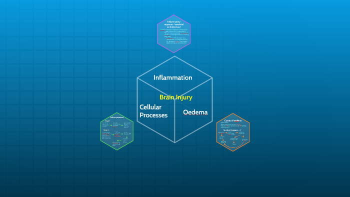 Brain Injury by Cathy ~ on Prezi
