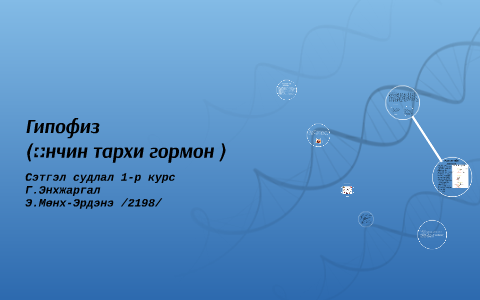 Хүн ба амьтны дотоод шүүрлийн булчирхайнуудаас үүсдэг уураг by ...