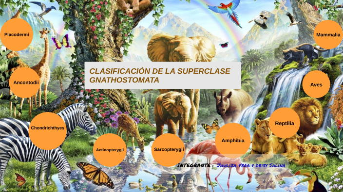 CLASIFICACIÓN DE LA SUPER CLASE GNATHOSTOMATA by Jhuliza Vera Armijos ...