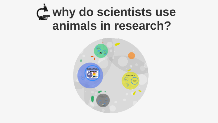 why do scientists use animals in research by Mauricio Saavedra on Prezi