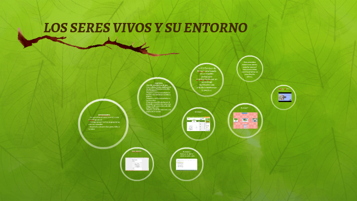 LOS SERES VIVOS Y SU ENTORNO by LIZETH YADIRA FORERO MARTINEZ