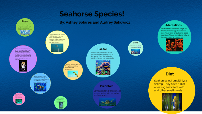 Audrey's and Ashley's Biology Project by Audrey Sakowicz on Prezi