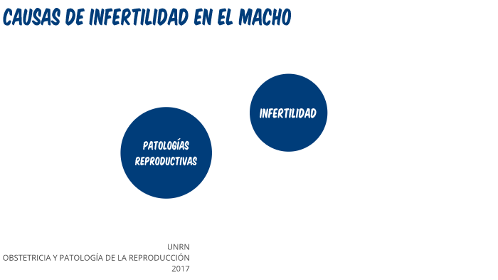 causa prostatitis en perros video