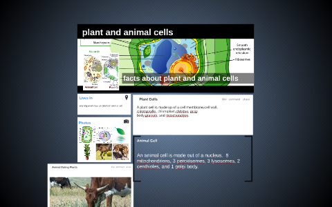 plant and animal cells by Anthony Ponvelle on Prezi