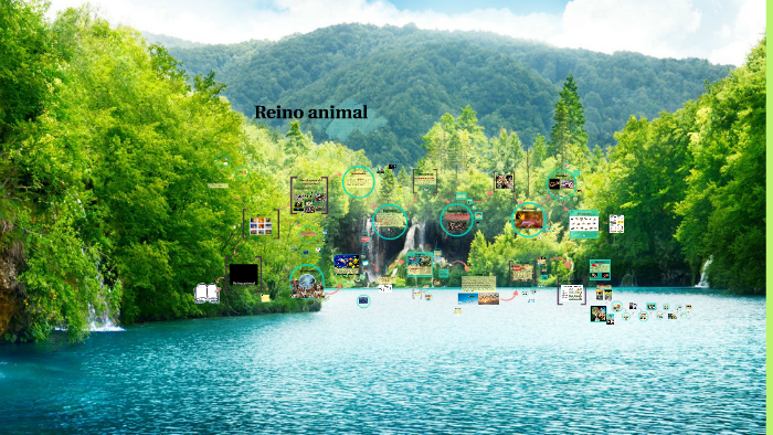 Reino animal by Daniela arroyo on Prezi