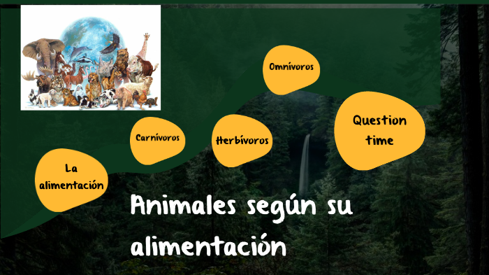 Animales según su alimentación by Daniela Herrera on Prezi