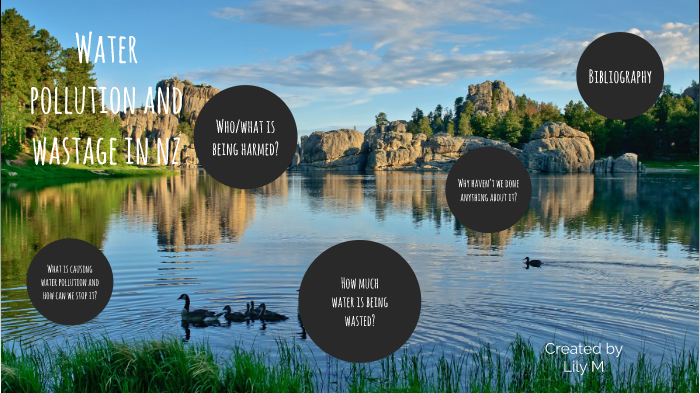 Water pollution in NZ by Lily Maxwell on Prezi