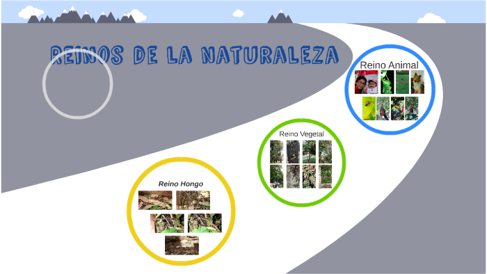 Reinos de la naturaleza by Andres Felipe Collazos Tovar on Prezi
