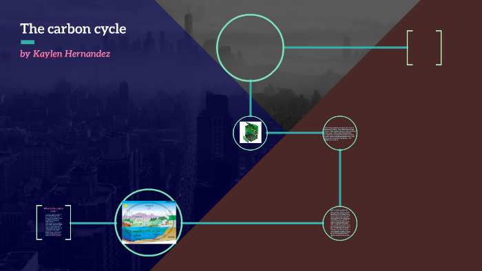 The carbon cycle by kaylen hernandez on Prezi