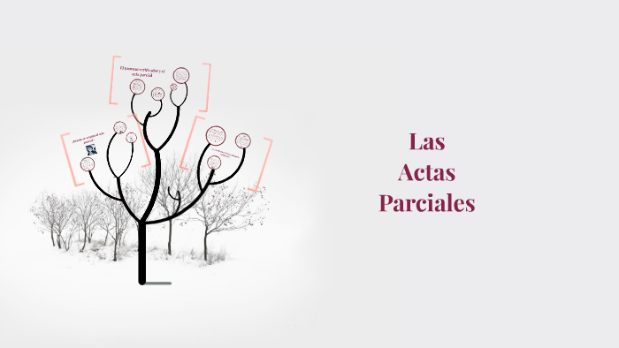 Las Actas Parciales By Carlos Manzo