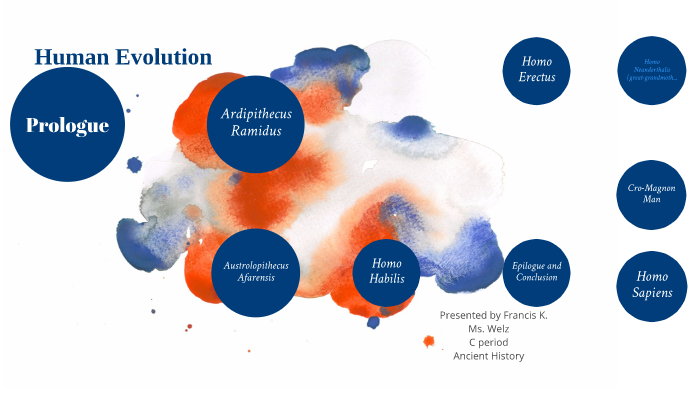 Human Evolution by Francis Kahura on Prezi