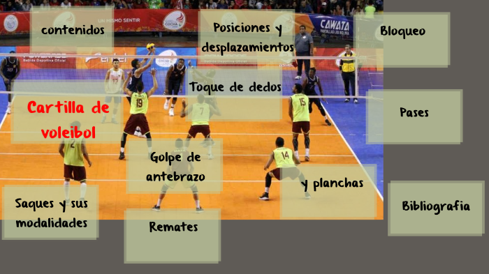 Cartilla de voleibol by