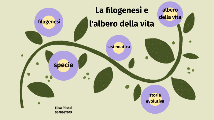 La Filogenesi E L'albero Della Vita By Elisa Pilutti On Prezi