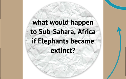 What might happen if Elephants became extinct. by Daniel Safonov on Prezi