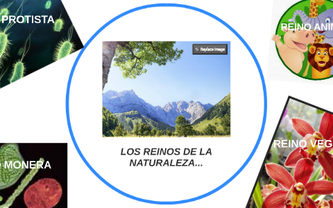 LOS REINOS DE LA NATURALEZA by DIANA PATRICIA MORALES CARVAJAL on Prezi