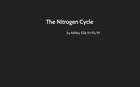 The Nitrogen Cycle by Ashley Ellis on Prezi