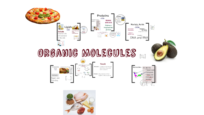 Organic Molecules by Brooke Wilks on Prezi