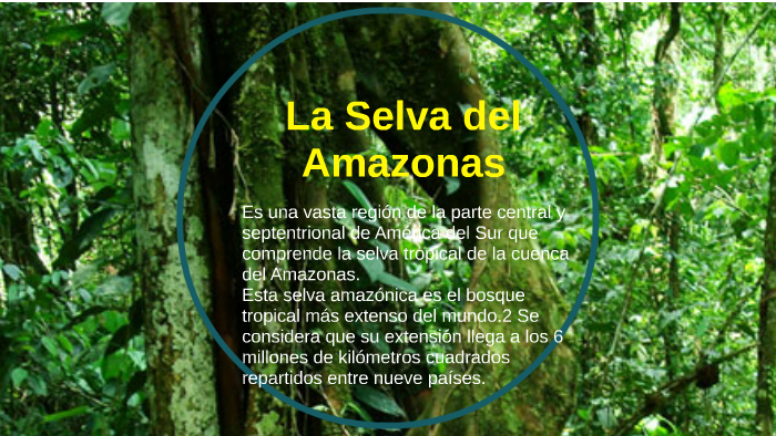 La Selva del Amazonas by nuria ruiz on Prezi