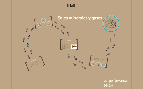 biomoleculas inorganicas agua sales minerales y gases