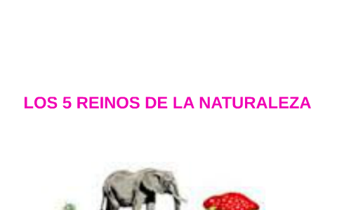 LOS 5 REINOS DE LA NATURALEZA by maria isabel gutierrez vasquez on Prezi