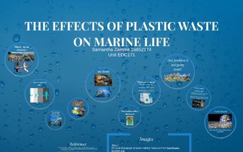 THE EFFECTS OF PLASTIC WASTE ON MARINE LIFE by Samantha Zammit on Prezi