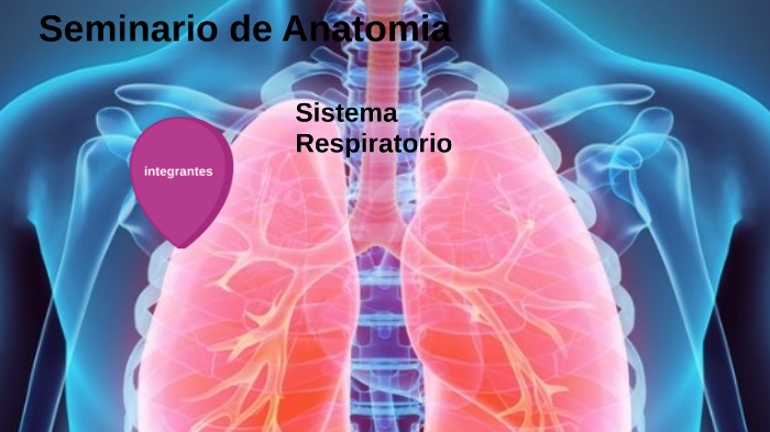 sistema respiratorio by Gippsy Samanta Bejarano Acuña on Prezi