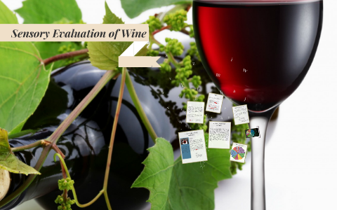 Sensory Evaluation of Wine by Romina Arellano on Prezi