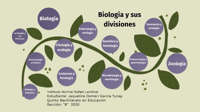 Biologia y sus divisiones by Jaqueline Garcia on Prezi