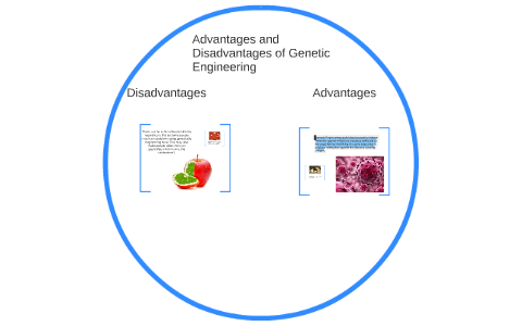 genetic engineering advantages and disadvantages essay